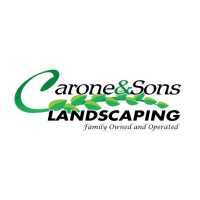 Carone and Sons Landscaping LLC Logo