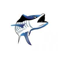 Kingfish Adventures Logo
