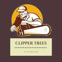 Clipper Tree Removal Service of Orland Park Logo