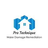 Pro Technique Water Damage Remediation and Mold Removal Logo