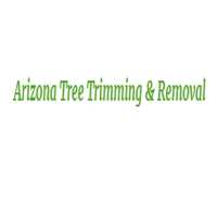Arizona Tree Trimming & Removal - Scottsdale AZ Logo