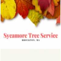 Sycamore Tree Service Brockton Logo
