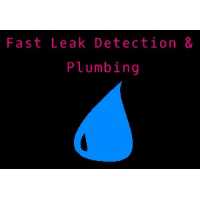 Fast Leak Detection and Plumbing Logo