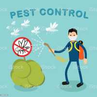 Pest Control Near Me in Haleiwa, HI Logo