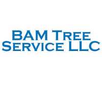 BAM Tree Service LLC Logo