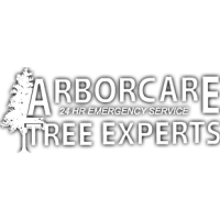 Arborcare Tree Experts Logo