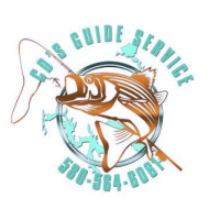 CD's Guide Service Logo