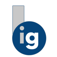 BigNet Group Logo