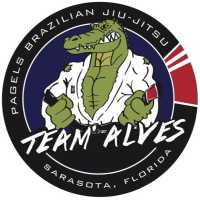 TeamAlves Brazilian Jiu-Jitsu school Logo