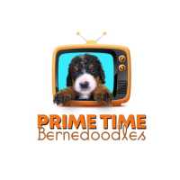 Prime Time Bernedoodles Logo