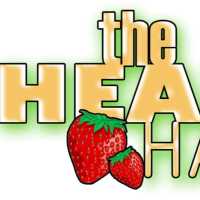 The Healthy Hangout Logo