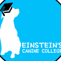 Einstein's Canine College Logo