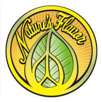 Natures Flavor Logo