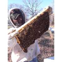 Brown's Bee Removal & Apiary Logo