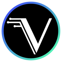 Vizeer Marketing Services  Logo