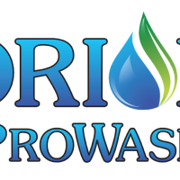 Orion ProWash Logo