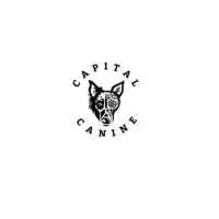 Capital Canine Logo