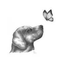dog 'n butterfly Logo