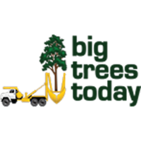 Big Trees Today Logo