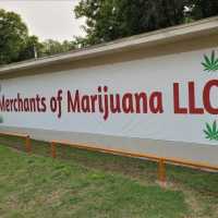 Merchants Of Marijuana LLC Logo