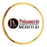 Peluquerias Mexico #1 Logo