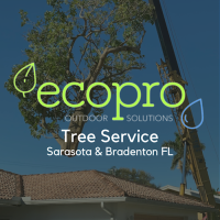 Ecopro Tree Service & Outdoor Solutions Logo