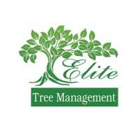 Elite Tree Management Logo
