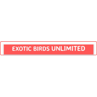 Exotic Birds Unlimited Logo