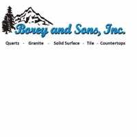 Borey and Sons, Inc. Logo