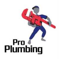 Pro Plumbing Logo