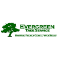 Evergreen Tree Service Logo
