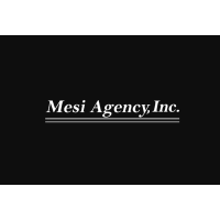 Mesi Agency Inc. Logo