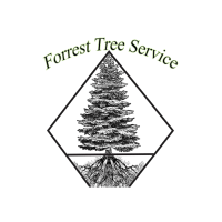 Forrest Tree Service, LLC Logo