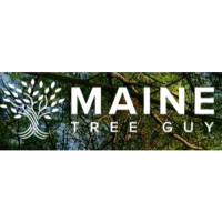Maine Tree Guy Logo