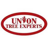 Union Tree Experts Logo