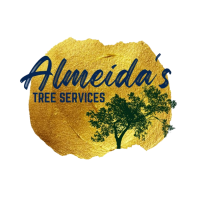 Almeida's Tree Services Logo