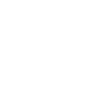 Direct Line Towing and Transport Logo