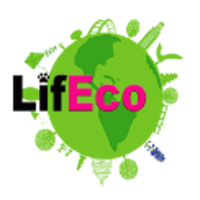 Lifeco Steam Clean Logo