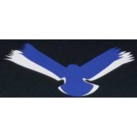 Blue Eagle Junk Removal LLC Logo