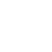 Bosque Energy Services Logo