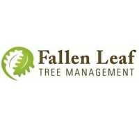 Fallen Leaf Tree Management Logo