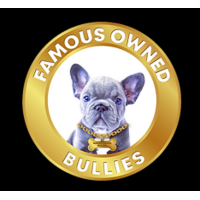 Famous Owned Bullies Logo