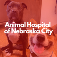 Animal Hospital of Nebraska City Logo