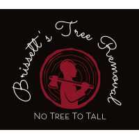 Brissett's Tree Removal Logo