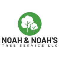 Noah & Noah's Tree Service Logo