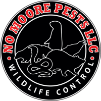 No Moore Pests Logo