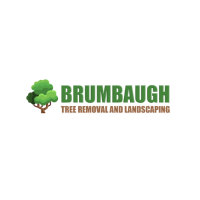 Brumbaugh Tree Removal and Landscaping Logo