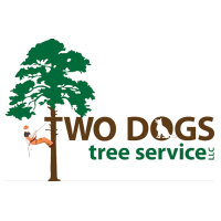 Northern Tree & Stump Service Logo