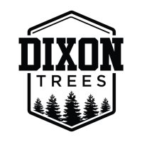 Dixon Trees Logo