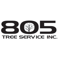 805 Tree Service Logo